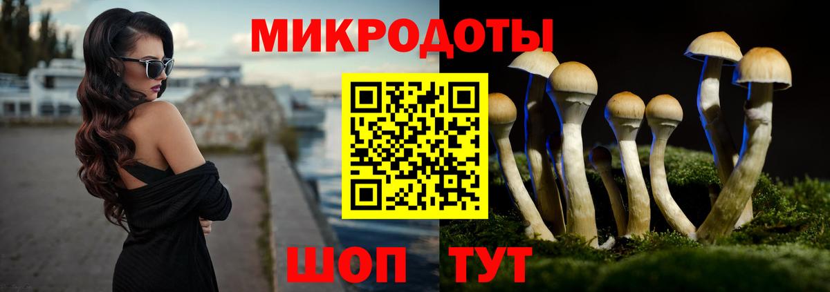 Баксан  Псилоцибиновые грибы ЛСД  Вход с VPN  Псилоцибиновые грибы Magic Shrooms 
